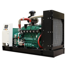 Energy Saving Brushless High Efficiency AVR 3-Phase Portable Power Biogas Generator